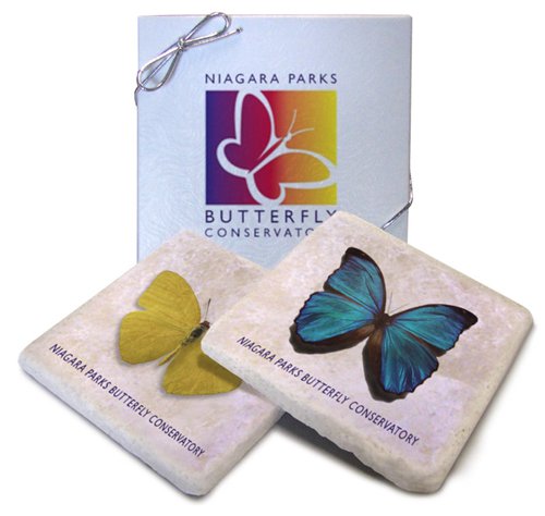 4 x 4 Italian Botticino Tumbled Stone Coasters, Boxed Set of 2 Questions & Answers