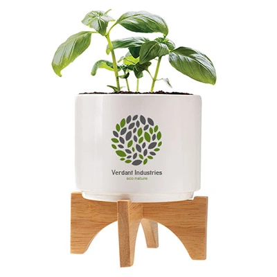 What size are the ceramic planters?