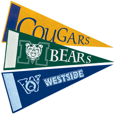 10 x 4 Econo Sports Pennants with Printed Accent Strip Questions & Answers