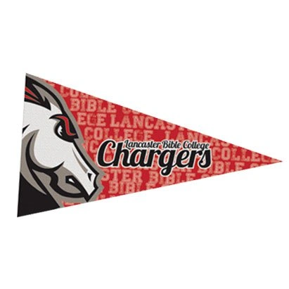 What printing technique is used for the 2.5 x 4.5 felt pennant magnets?